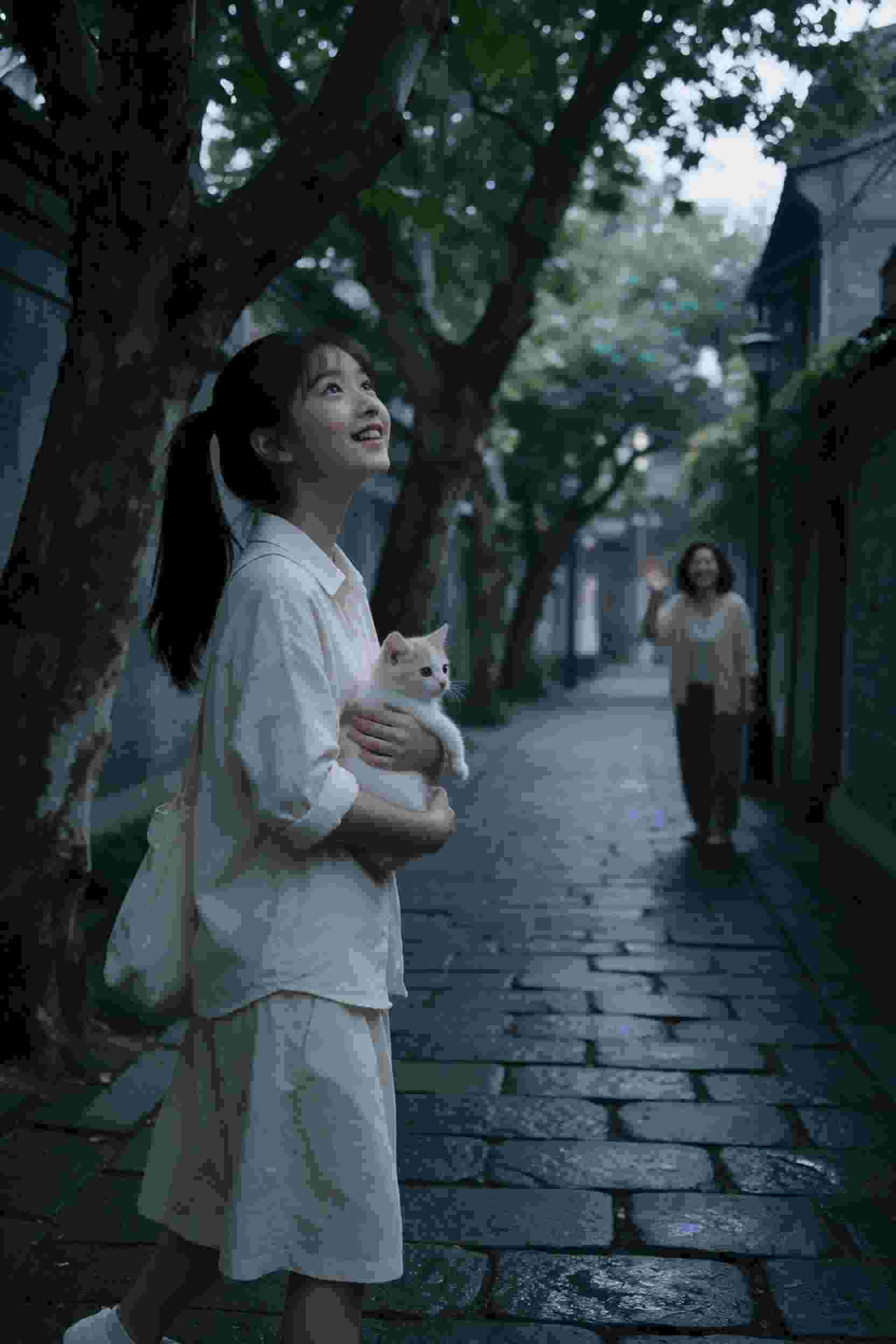 古代风云传